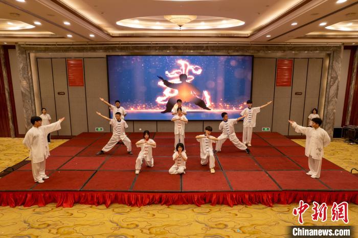 华裔青少年在郑州开启武术之旅：满载而归练就