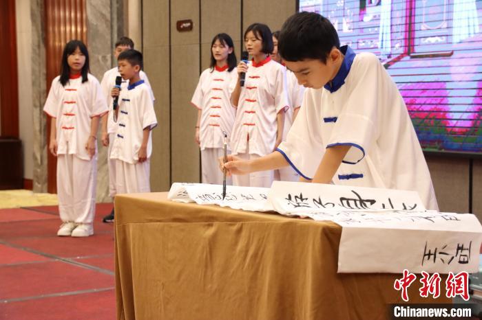 华裔青少年在郑州开启武术之旅：满载而归练就