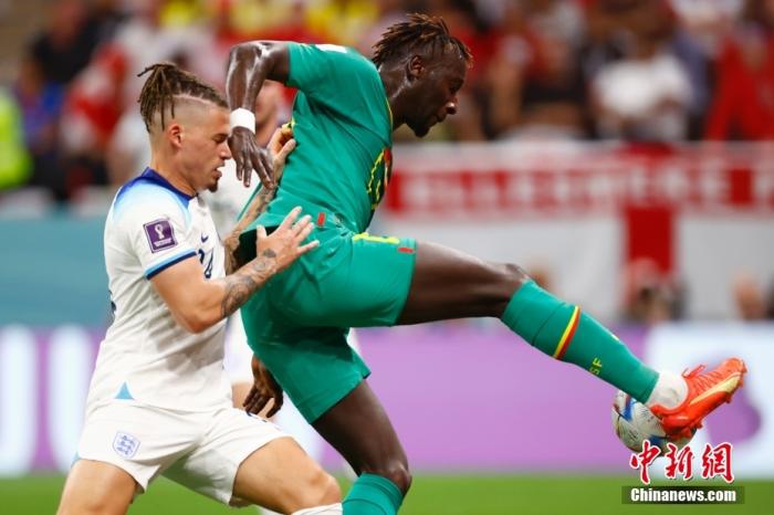 特兰加雄狮败北后仍未来可期:塞内加尔青训崛